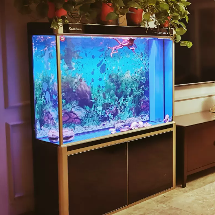 LED large fish tank clearance