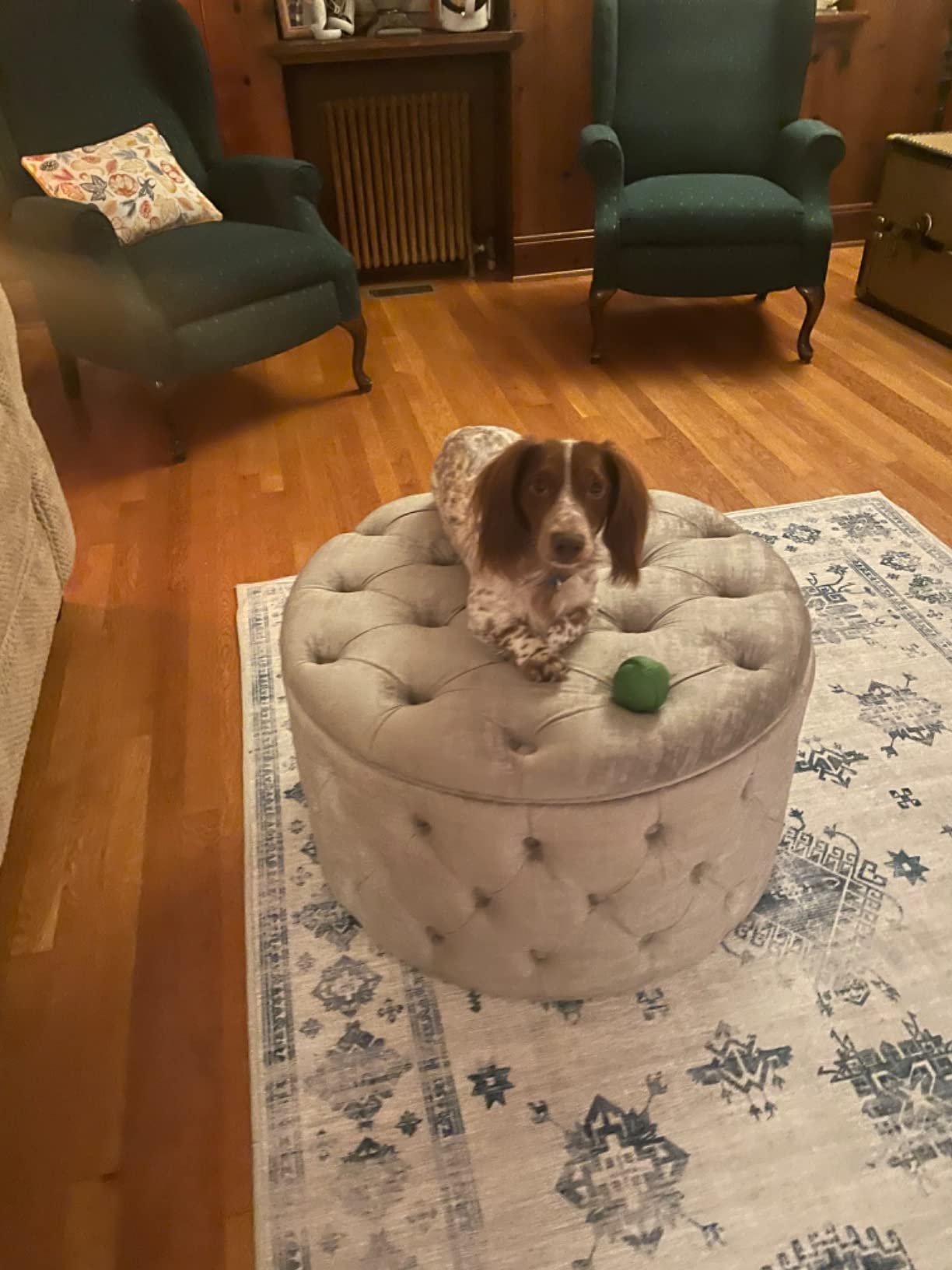 【Furniture】Homebeez Round Velvet Storage Ottoman, Button Tufted Footrest Stool Coffee Table