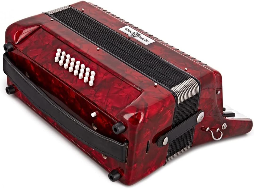 Piano Accordion with Carry Case and Shoulder Straps