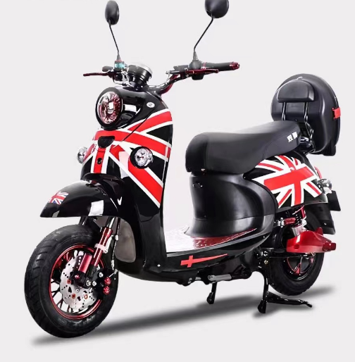 Little Turtle King Electric Car 72v. Adult Battery Car